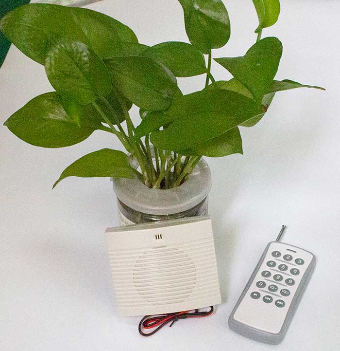 无线？？？胤桨